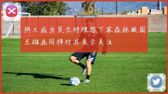 热火成为莫兰特理想下家森林狼国王雄鹿同样对其表示关注