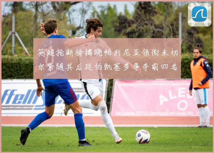 英超抢断榜揭晓帕利尼亚领衔米切尔紧随其后廷伯凯塞多争夺前四名