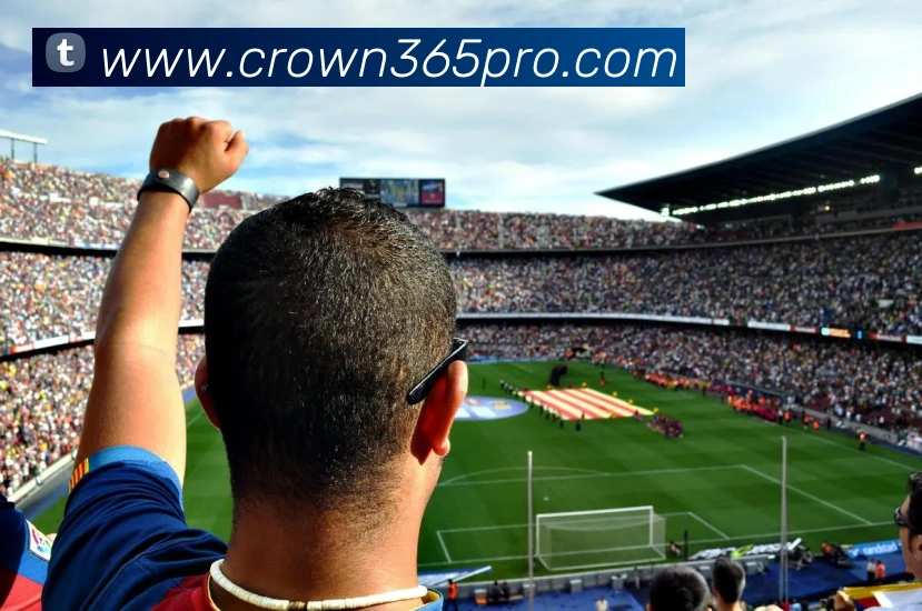 皇冠体育平台生态图